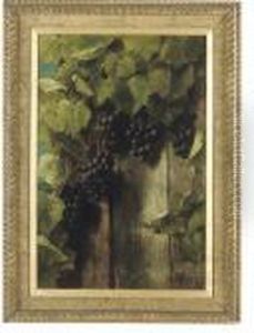 A Fruiting Vine