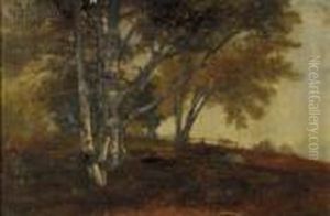 Landscape With Birches
