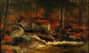 Autumn Brook