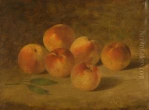 Still Life With Peaches.