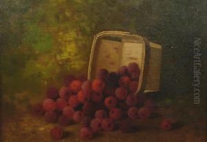 Overturnedbasket Of Raspberries Overturnedbasket Of Raspberries