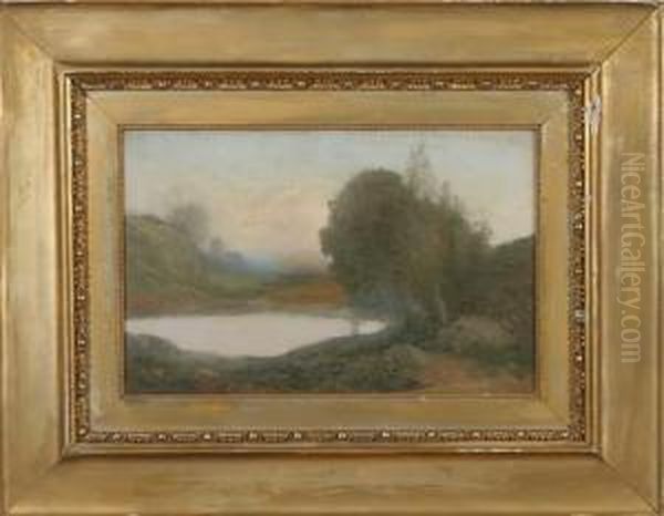 Landscape - view 1