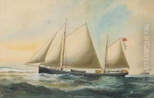 M. S. "traly". Of Tralee by Reuben Chappell Of Poole