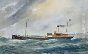 S.s.coaster Of Newcastle S.s.coaster Of Newcastle