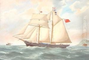 Ship Portrait - Florence Vivian Of Truro, J.a. Phillips Master