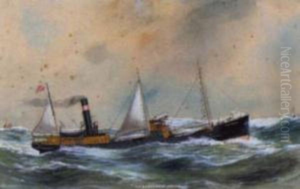 S.s.seaforth Of Bristol (#) S.s.calgaria Of Workington - view 1