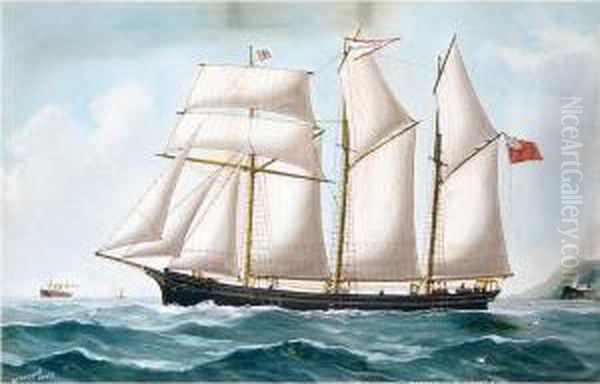 ````fanny Crossfield' Of Barrow - view 1