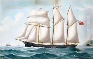 ````fanny Crossfield' Of Barrow ````fanny Crossfield' Of Barrow