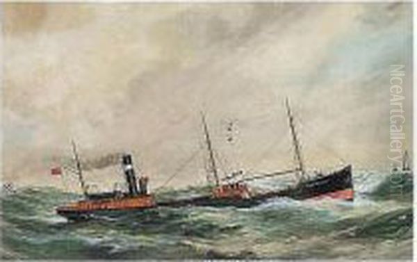 S.s.ribbledale - view 1