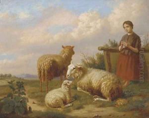 Watching over the flock