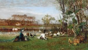 Pollame In Un Paesaggio Conparco