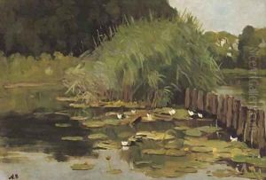 Biezen en waterlelies the river Vecht near Nieuwersluis by Nicolaas Bastert