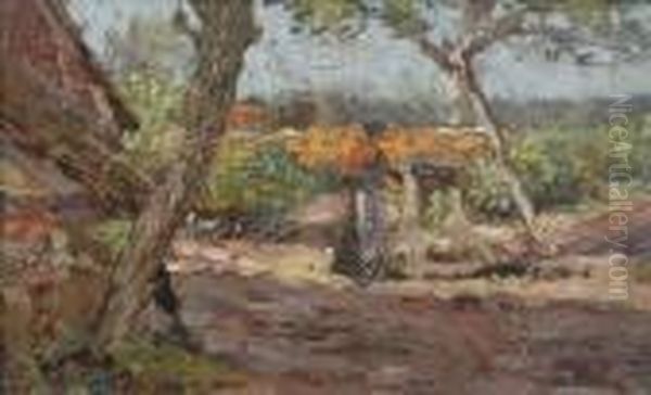 Sunlit And Shade - view 1
