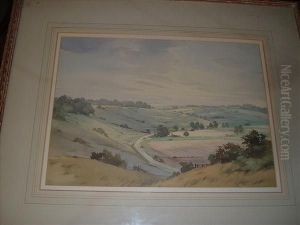 Long Furlong,west Sussex by Taylor Charles