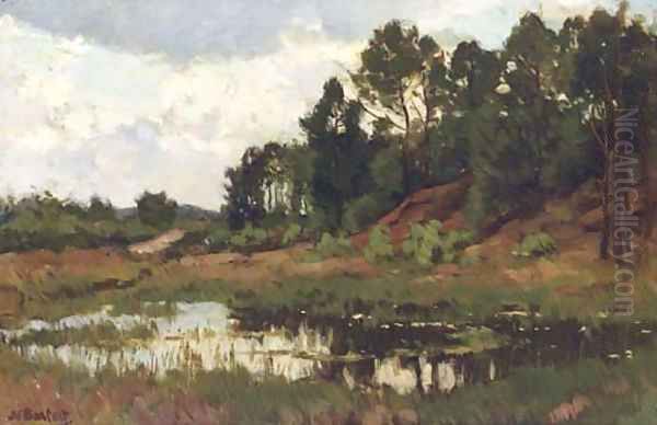 Ven a lake in a wooded landscape - view 1