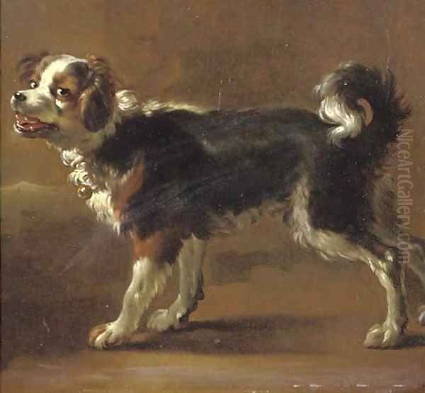 Een Kooikerhond - view 1