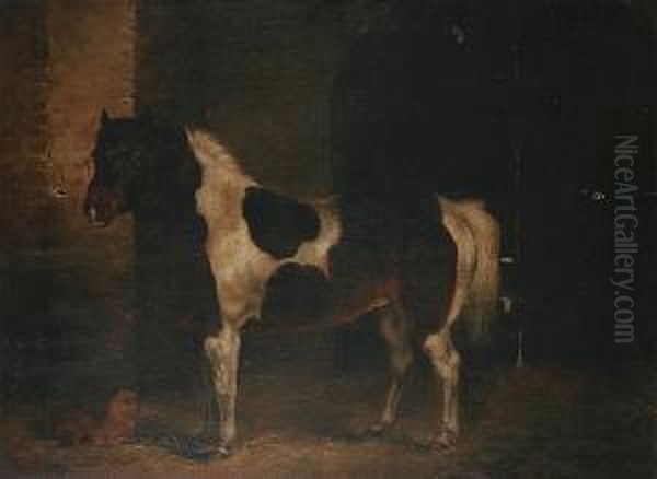 Stable Companions - view 1