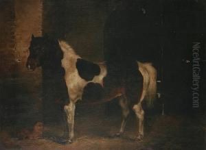 Stable Companions by John Charlton