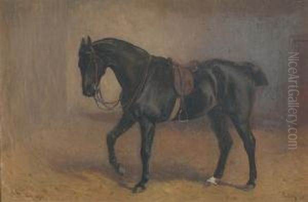 ''sultan' - A Saddled Hunter In A Loose Box' - view 1