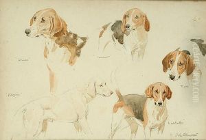 Studies Of Hounds, Driver, Pilgrim, Tempest, Trifle And Bachelor