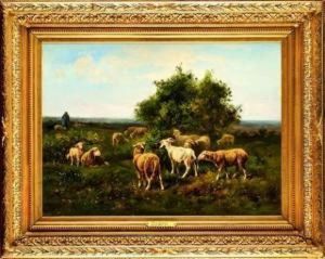 Moutons Et Chevres Dans Le Pre