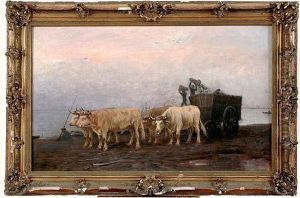 attelage De Boeufs