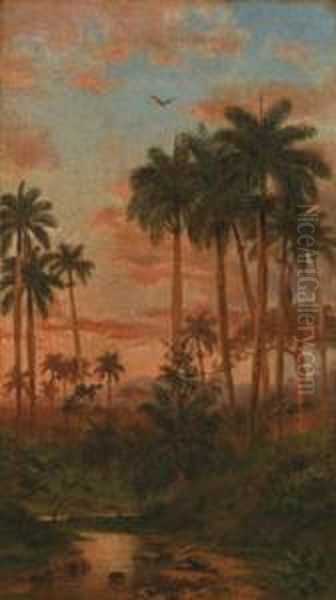 Tramonto Ai Tropici - view 1