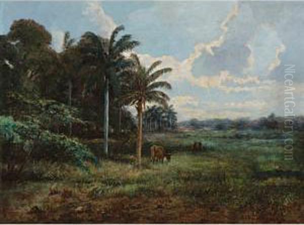 Paisaje - view 1