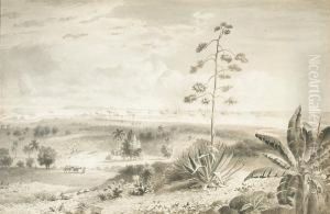 A View Of The Harbor And City Of Havana by Esteban, Philippe Chartrand