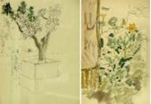 Trois Etudes De Plantes by Chas-Laborde
