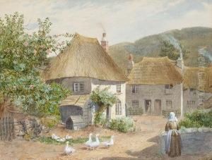 Geese In A Farmyard