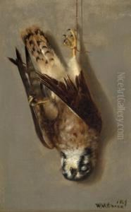 Sparrow Hawk by William Merritt Chase