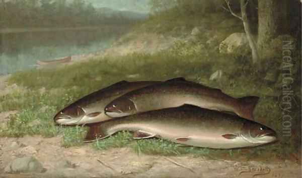 Trout on a River Bank - view 1