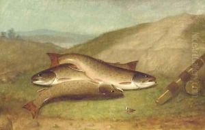 Catch of the Day - Trout on a Riverbank