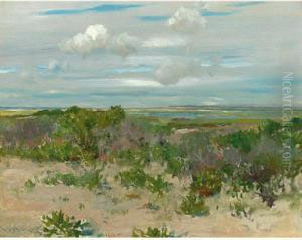Shinnecock Landscape - view 1