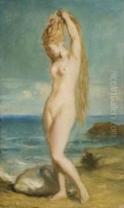 Venus Marine