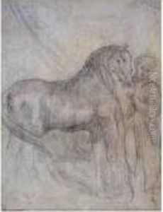 Arabe Aupres De Son Cheval
