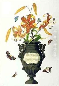 Lilium tigrinum Tiger Lily by Bury, Mrs Edward