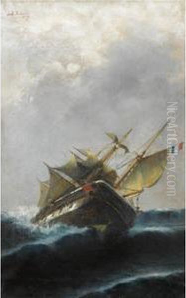 Marine - view 1