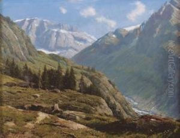 Sommerliche Gebirgslandschaft. - view 1