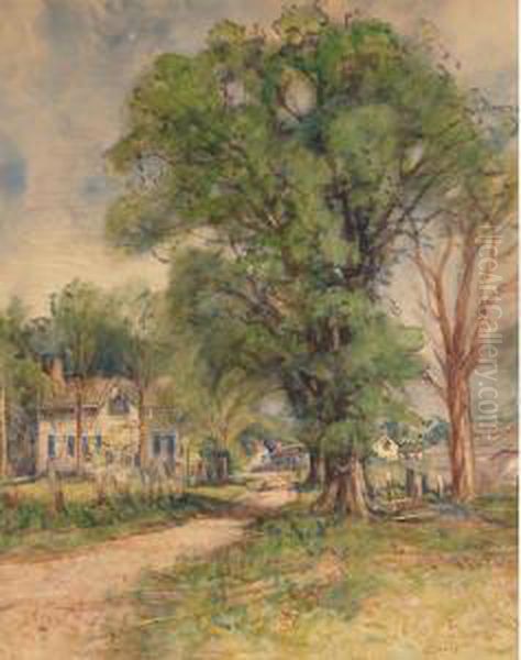 Road Into The Village - view 1