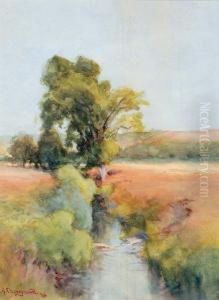Stream Running Through Early Spring Pastures.