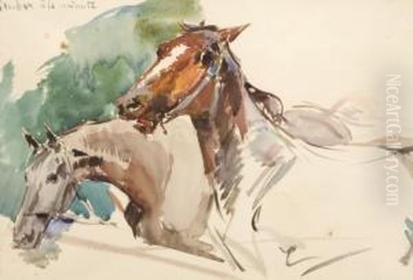 Caballos - view 1