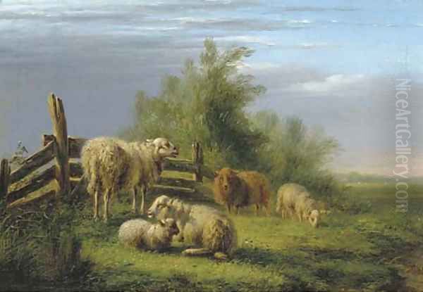 Sheep in a pasture - view 1