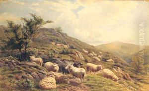 Sheep grazing in a Hilly Landscape by Henry Birtles