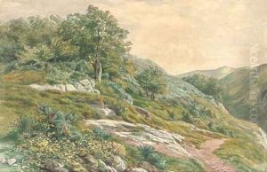 The hillside path by Henry Birtles