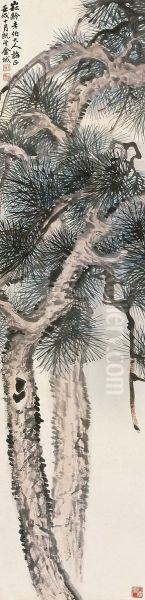 Pine - view 1