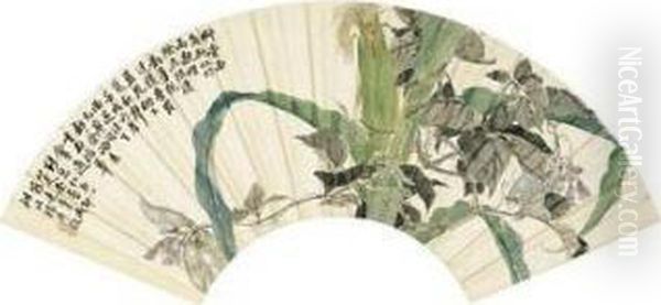 Corn And Pea - view 1