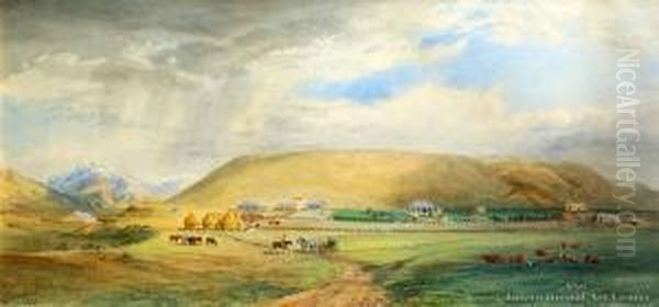 Leslie Hills Station, Canterbury - view 1