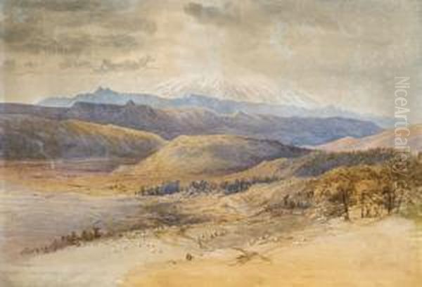 Mt Egmont - view 1
